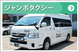 jumbotaxi_smart2